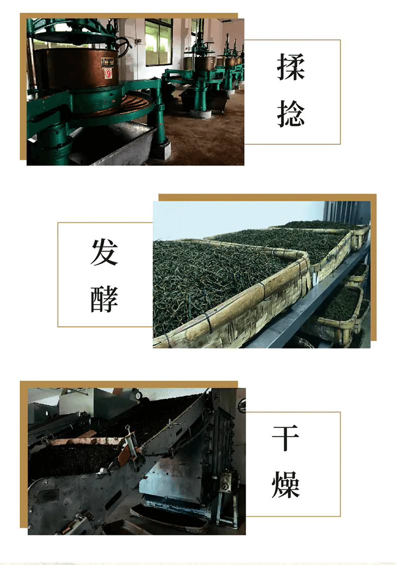 图层 12.png