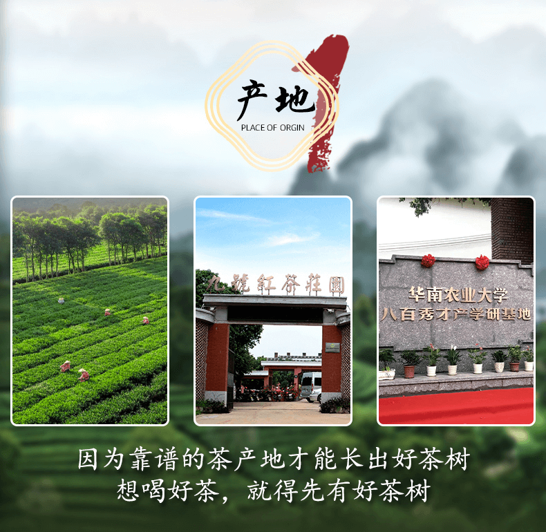 图层 16.png