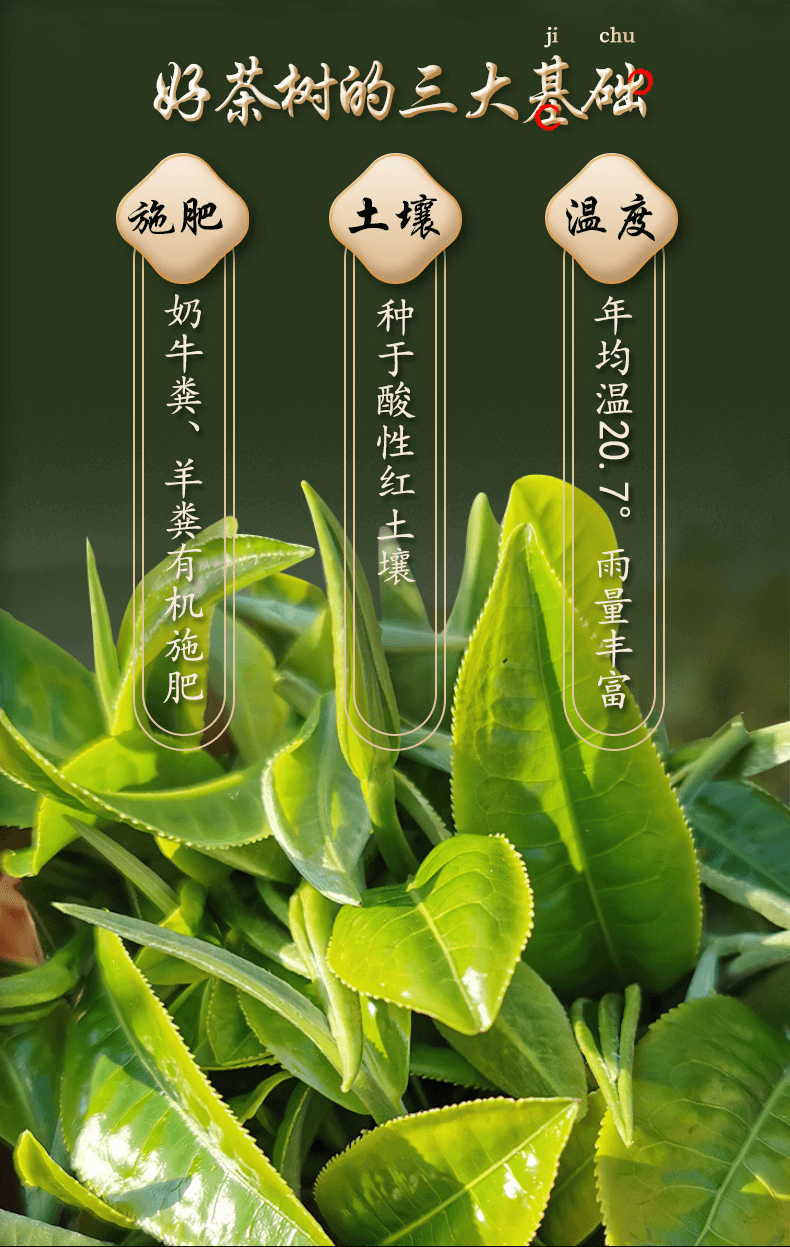 图层 17.png