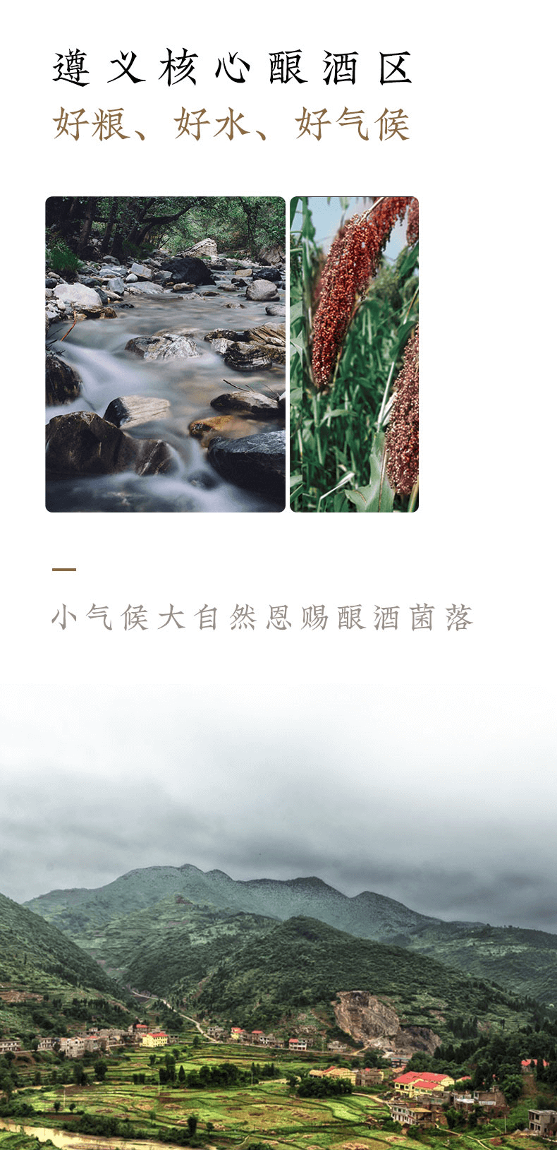 详情_06.png