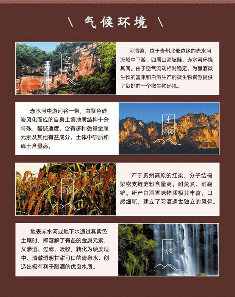 1988款_12.png