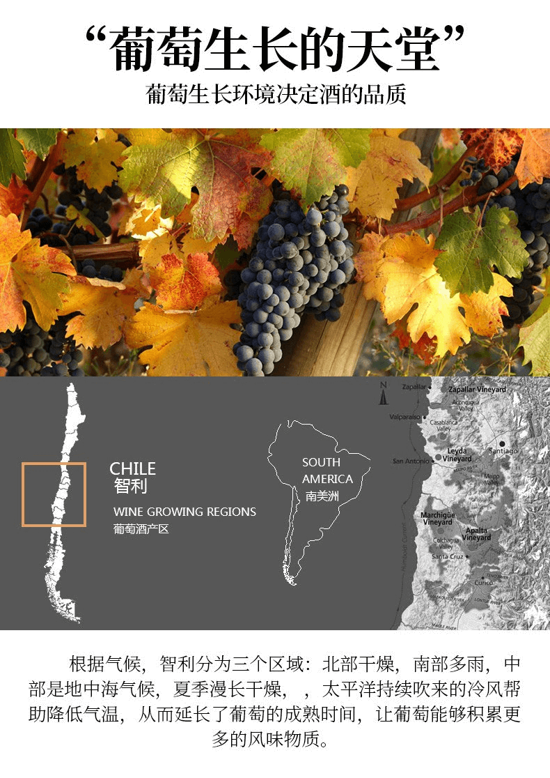详情页_06.png