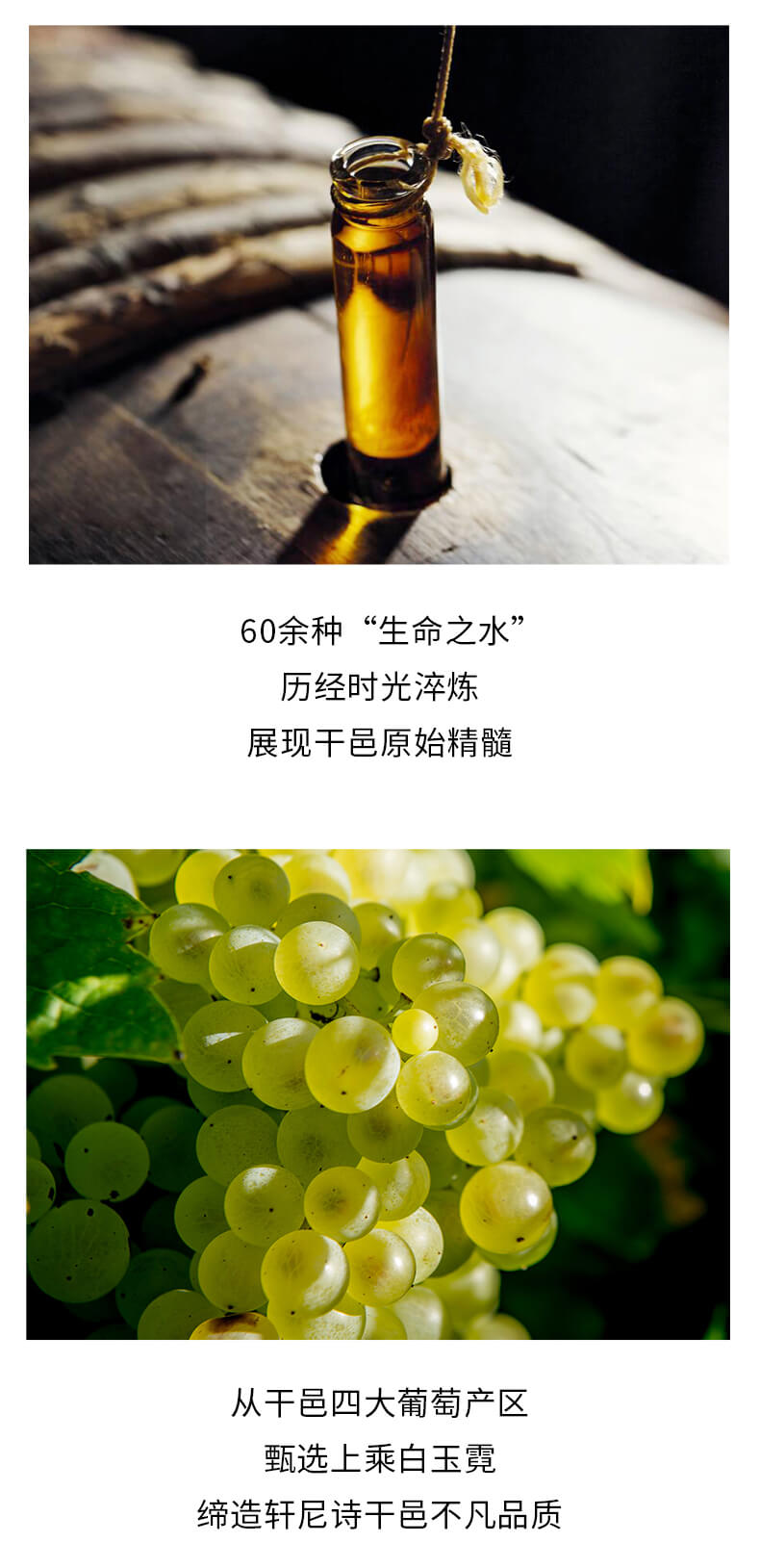 详情_11.jpg